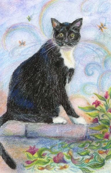 Portraits by Laura McMillan